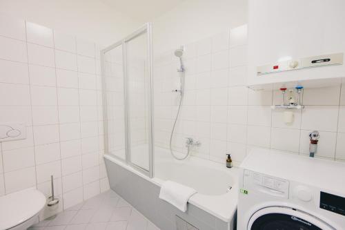 One-Bedroom Apartment image 3