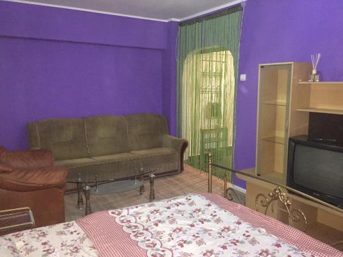 Ultracentral apartament Bacau - image 3