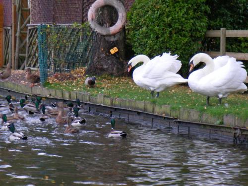 Stone - Boat - Sleeps 6 - Pet Friendly - 85ws in Stone