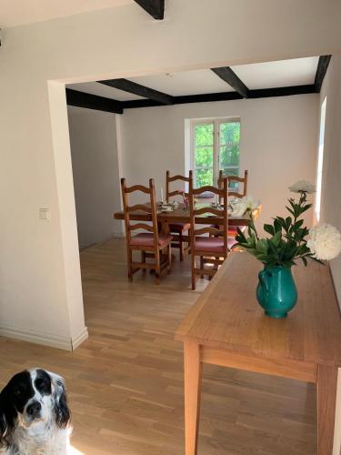 Facilities, Charming holiday home in the middle of Kivik near Mandelmanns Tradgardar