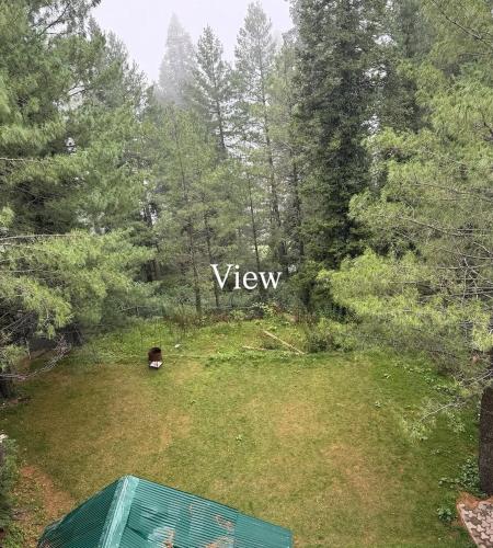 Voltants, Peaceful Hilltop Apartment in Changla Gali in Ayubia