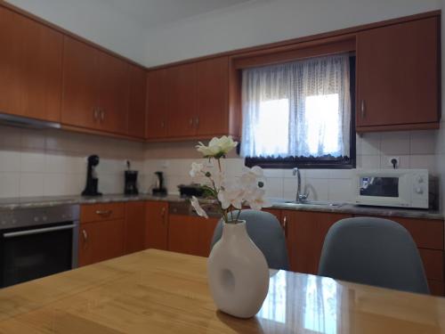 Kitchen, Villa Eleni in Kypseli