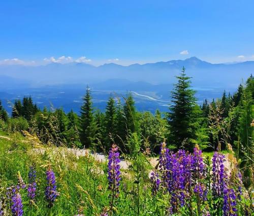 Gerlitzen Berg- und Seenurlaub in Deutschberg, Österreich
