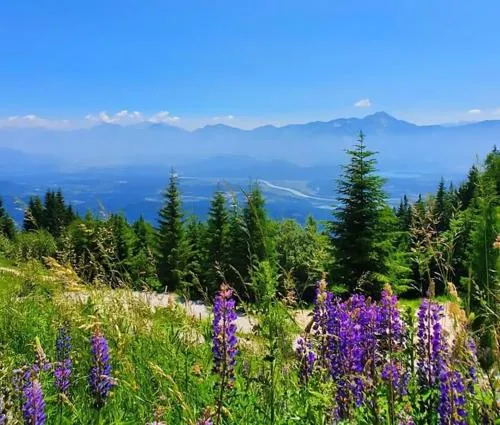 Gerlitzen Berg- und Seenurlaub in Deutschberg, Österreich