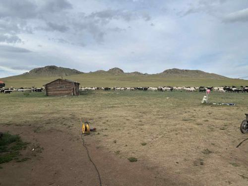 Khairhan cabin like place — other in Arkhangai Khairhan Sum, Uubulan Mongolia, 131201