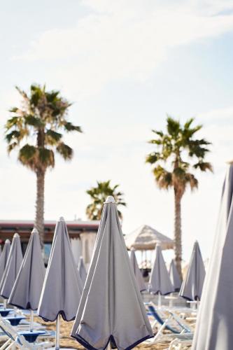 Numero 5 B&B in Francavilla al Mare