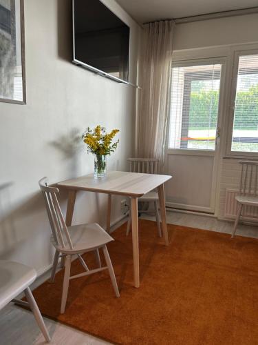 Sastamala, Ellivuori, viihtyisä saunallinen lomahuoneisto, Sastamala (fotografie 9)