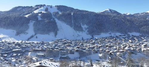 View, Morzine T2 vue imprenable in Morzine
