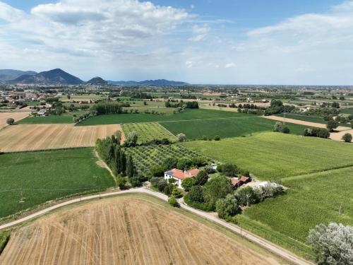 外部景觀, Agriturismo San Bartolomeo in 蒙塞利切