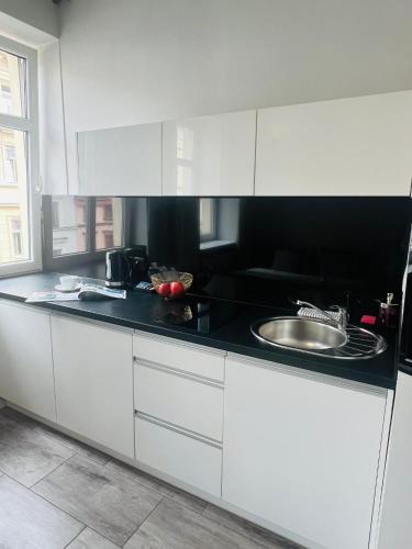 Studio Apartment image 10