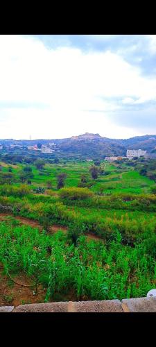 شقق ذروة السودة, Abha (foto 8)