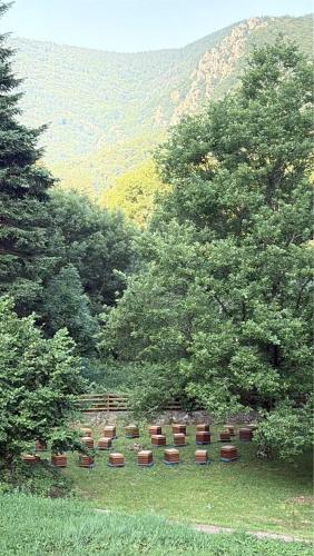Auberge les plantades in Laviolle