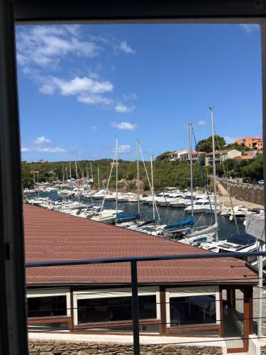 Guest House Pesce Celeste in Stintino