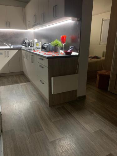 Balatonszabadi Privát Apartman (Balatonszabadi Privat Apartman) in Balatonszabadi