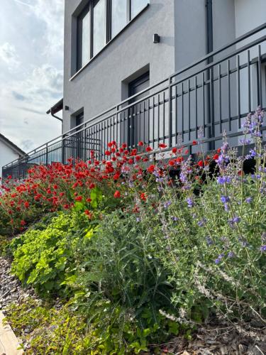 Θέα, Rodinné apartmány LEVÝPRAVÝ ve Frymburku (Rodinne apartmany LEVYPRAVY ve Frymburku) in Frymburk