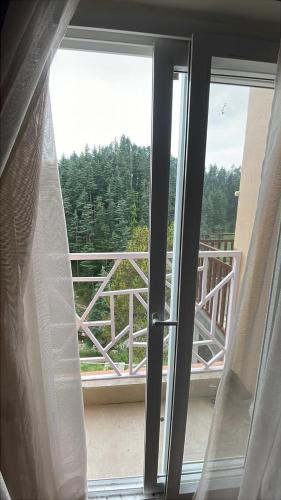 Devlok Inn, Lohaghāt (Foto 7)
