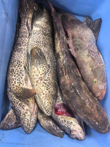 NatureLand Beach Villa in Al Marfa'