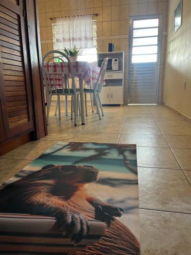 Apartamento amplo 300m da praia in Sao Lourenco do Sul