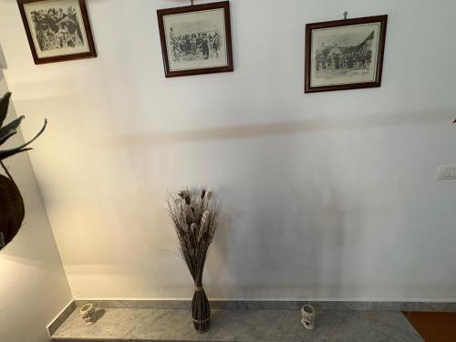 A casa di Francy, Palermo (fotografie 8)