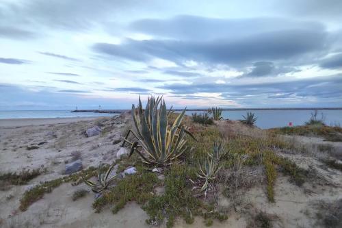 Appartement T2 dans village Naturiste en bord de mer - Location saisonnière - Leucate