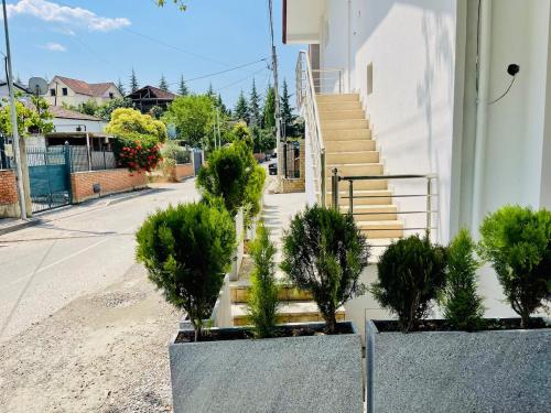Albi guests House Tirana, Tirana (fotografie 9)
