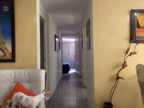 Apartamento céntrico en el poblado, Medellín (fotografie 8)