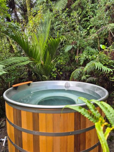 Karstais baseins, Treescapes - Rainforest Hot Tub 2km from Punakaiki in Barrytown