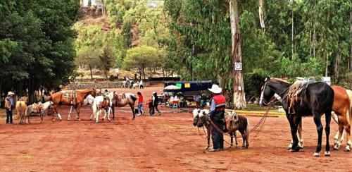 A visit to the cultural heritage, Xochimilco in Xochimilco-Milpa Alta