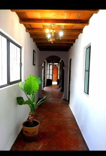 Casa de Campo luciérnaga (Casa de Campo luciernaga) in คาร์ดินส์ เดล โบสเก