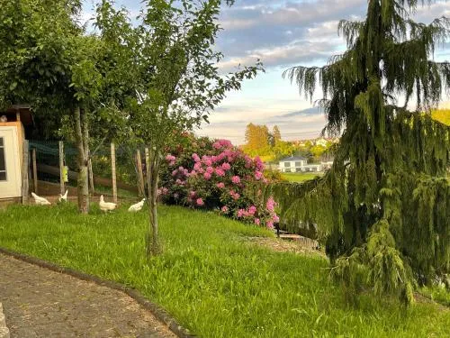 Am Waldrand in Attendorn, Deutschland