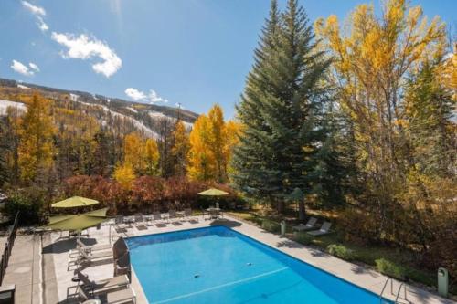 Cozy 1 Bedroom Near Lionshead Village W Resort Amenities