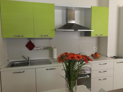 Apartment with Balcony image 10