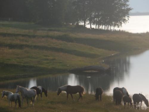 Naturresidenz Theistadl