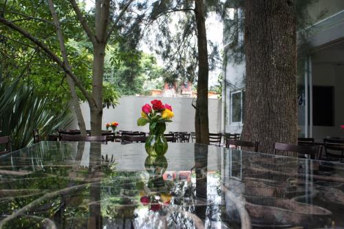 Casa Tepoztlan - 출입구