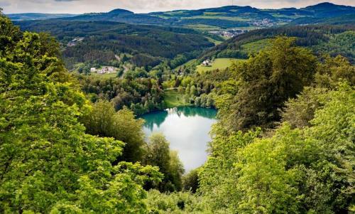 Apartment in Mehren! in Mehren (Rhineland-Palatinate)