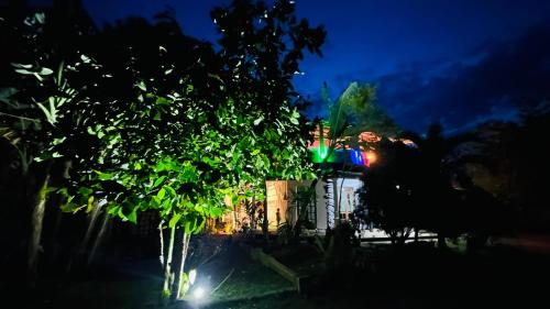 Sigiri Nethu Home Stay - image 2