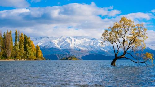 ISKANDARKUL GUEST HoUSE in 坎喬奇