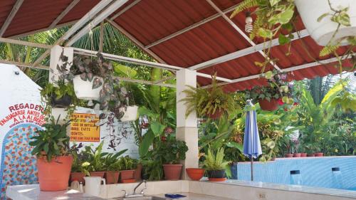 Hotel Maricarmen – Manzanillo, NC