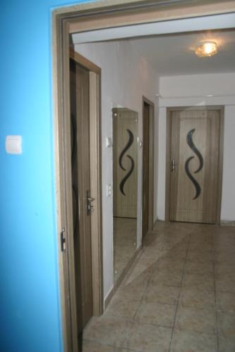 Salonul Rosu - image 8