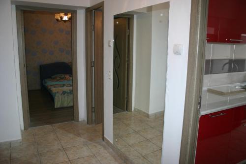 Salonul Rosu - image 3