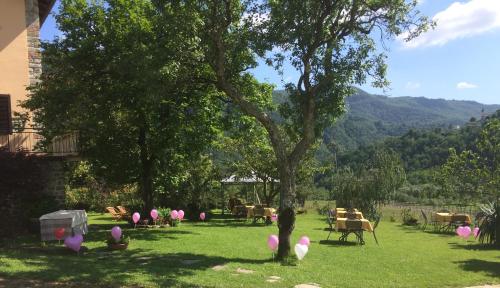 Agriturismo I Chiosi - image 13
