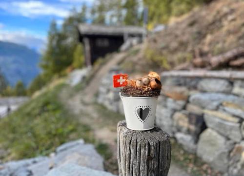 Atelier Berg zum Bildji - Tap to explore photos