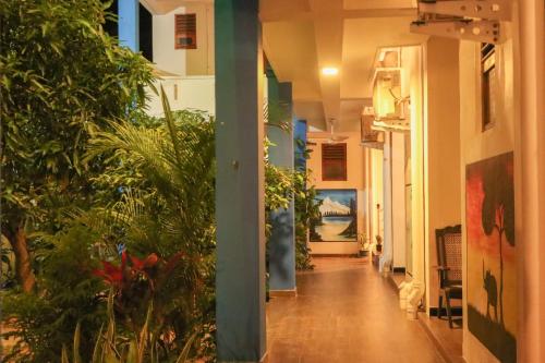 花園, Canggu Surf Hotel - Arugam Bay in 阿魯加姆灣