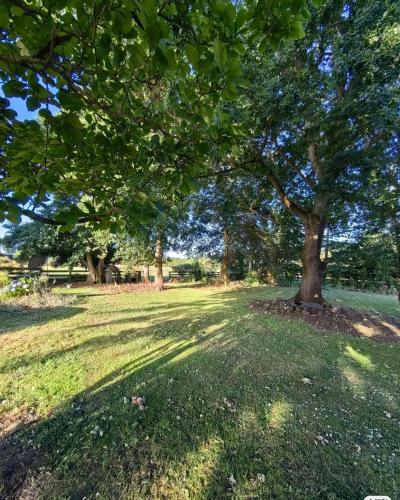 Cozy 3 安逸舒适小屋 in Mairehau