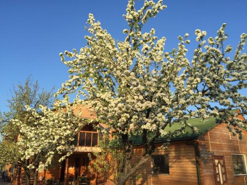 . Pid Zelyonym Dakhom Country House