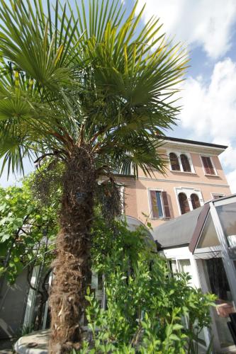 Villa Oldrado - image 5