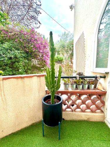 Superbe 3 pieces - 6 pers - Clim - Jardin - Apercu mer, Saint-Raphaël (fotografie 3)