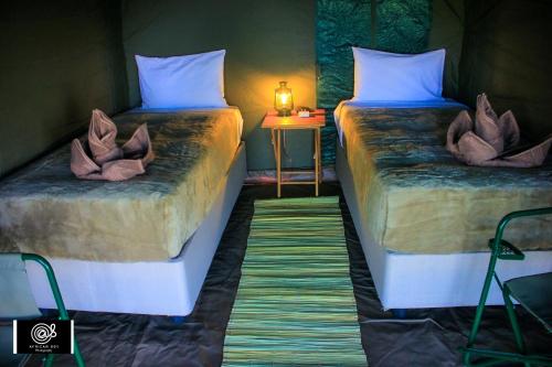 Kashete Plains Expedition & Campsite - Okavango Eastern Panhandle in Shakawe