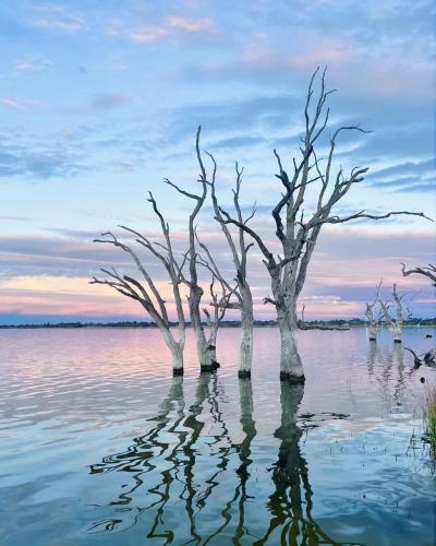 Bonney Shores in 巴米拉