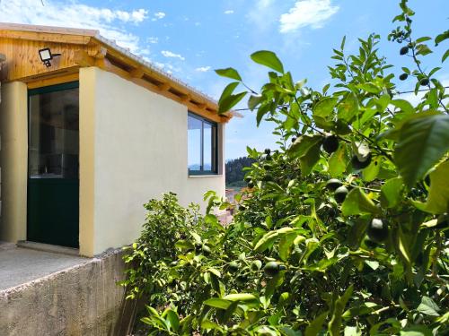 virtuve, 4star Room 'Kata' - with private bathroom and free air-conditioned summer kitchen in Banja